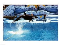 Shamu-Killer Whale Sea World San Diego California USA Fine Art Print