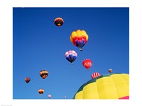 Hot Air Balloons Flying Away in a Group Fine Art Print