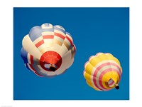 Hot Air Balloons from the Ground Fine Art Print
