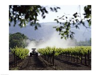 Tractor in a field, Napa Valley, California, USA Fine Art Print