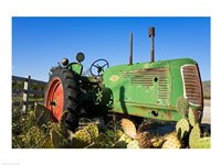 Abandoned tractor in a field, Temecula, Wine Country, California, USA Fine Art Print