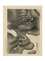 Dragon Fine Art Print