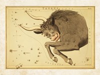 Taurus Zodiac Sign Framed Print