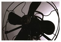 Vintage Fan Study III Fine Art Print