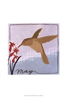 Avian May Framed Print