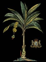 Palm & Crest on Black I Fine Art Print