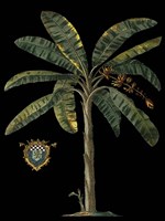 Palm & Crest on Black II Fine Art Print