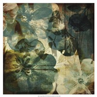 Vintage Teal Blooms II Fine Art Print
