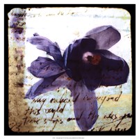 Blooming Purple II Fine Art Print