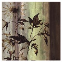 Painted Botanicals I Framed Print