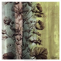 Painted Botanical II Fine Art Print