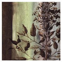 Painted Botanical IV Fine Art Print