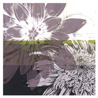 Graphic Blooms I Fine Art Print