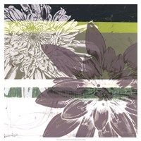 Graphic Blooms II by Jennifer Goldberger - 19" x 19"