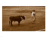 Matador and Bull Fine Art Print