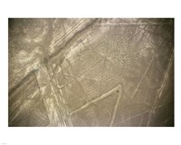 Nazca Lines Symbol Fine Art Print