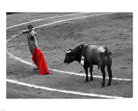 Red Matador I Fine Art Print