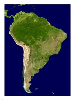 South America - Blue Marble Orthographic Fine Art Print