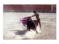 Matador fighting with a bull, Spain Fine Art Print