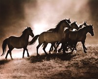 Wild Horses by Lisa Dearing - 20" x 16"