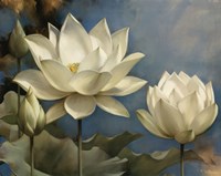 Lotus I Framed Print