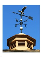 Weathervane Fine Art Print