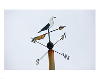 Seagull Weathervane Fine Art Print