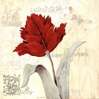 Tulip Gem II by Jo Moulton - 12" x 12"