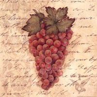 Grapes III Fine Art Print