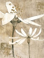 Pencil Floral II Fine Art Print