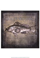Ocean Fish II Framed Print