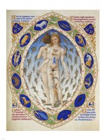 Anatomical Man Fine Art Print