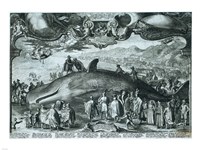 Beached wale near Beverwijk Fine Art Print