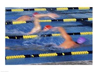 Rear view of three swimmers racing in a swimming pool Fine Art Print
