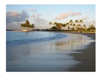 Waikiki Beach And Palm Trees Framed Print