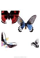 Butterflies Dance I Fine Art Print