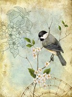 Songbird Sketchbook II Fine Art Print