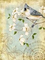 Songbird Sketchbook IV Fine Art Print