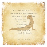 When the Breath Wanders Framed Print