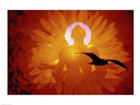 Image of a flower and bird superimposed on a person meditating Fine Art Print