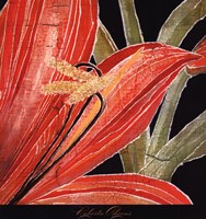 Red Amaryllis With Stem Fine Art Print