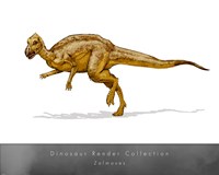 Zalmoxes Fine Art Print