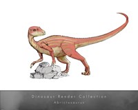 Abrictosaurus - various sizes