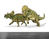 Avaceratops Fine Art Print