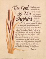 Lord Is My Shepard Fine Art Print