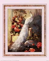 Peacocks, Column by Maxine Johnston - 16" x 20" - $11.49