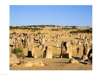 Rock formations in the desert, The Pinnacles Desert, Nambung National Park, Australia Fine Art Print