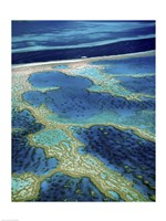 Aerial view of a coastline, Great Barrier Reef, Australia Fine Art Print