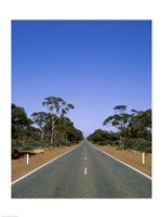 Road passing through a forest, Western Australia, Australia Fine Art Print