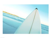 Close-up of a surfboard, Fishery Bay, Australia Fine Art Print